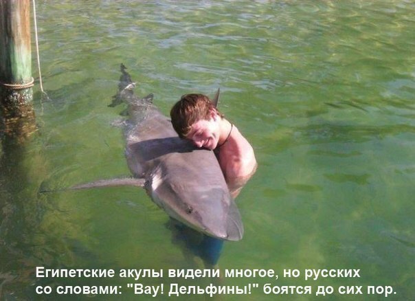   https://fotostrana.ru/away?to=/sl/KE2