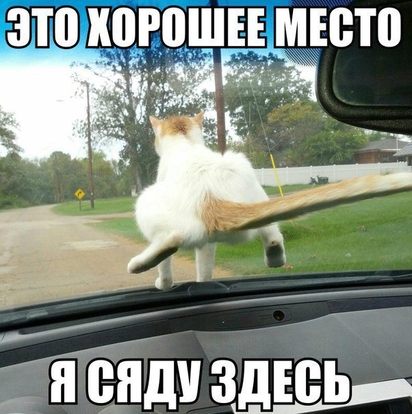 ������������ ���� - 16 ���� 2015 � 10:18
