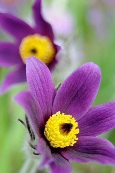 ||  ... || - 11  2015  23:20 - 6