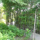    -  ,  -  23  2015    2014.  Peace.  11-.