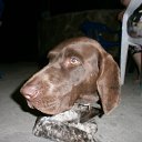 ������ ���������� �� ������� ����������