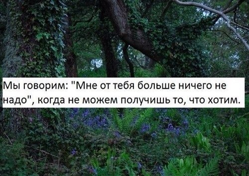 ,  - 31  2015  00:31