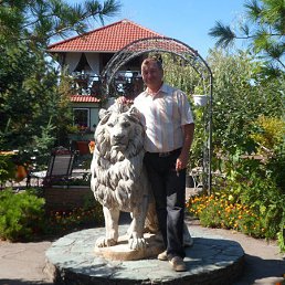 ������, ����������, 74 ����