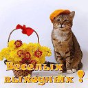  ,  -  25  2015    