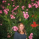  , , 56  -  2  2015    - 2015