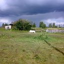 ���� ���������, �������� - ��������� 3 ������� 2015 � ������ ������ ��������