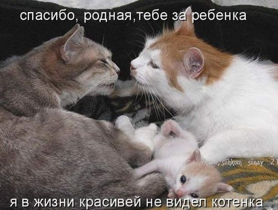  ,  .© - 23  2015  23:34