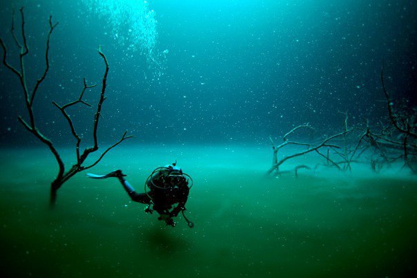    Cenote Angelita,   30    .     ... - 2
