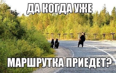    :-) - 28  2015  04:40