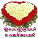 ���� �������, ������, 69 ��� - ��������� 16 ���� 2015 � ������ ���� ��������