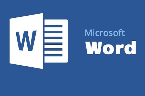 20   Microsoft Word,     ! ,     ...