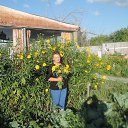 ���� �����, ������������, 68 ��� - ��������� 26 ������� 2015