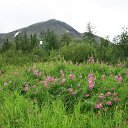  ,  -  13  2015     -    ( )   ( )