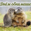 ���� �������, ������ - ��������� 6 ��� 2015 � ������ �������� ��������