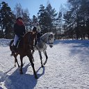 ���� ���������, ����������� - ��������� 14 �������� 2015 � ������ ���� ����������
