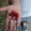 ���� �������� �-172, ���������, 48 ��� - ��������� 24 ���� 2015 � ������ ������ ��������