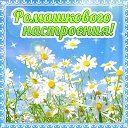  ,  -  8  2015    
