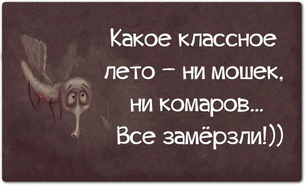   - 7  2015  18:31