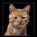 ���� ~Andrey~, �����-���������, 55 ��� - ��������� 17 �������� 2015 � ������ ������ ��������