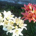 ���� Natali, ������ - ��������� 2 ���� 2015 � ������ ���� �������� 2015�