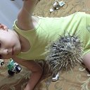  , , 52  -  28  2015    2015