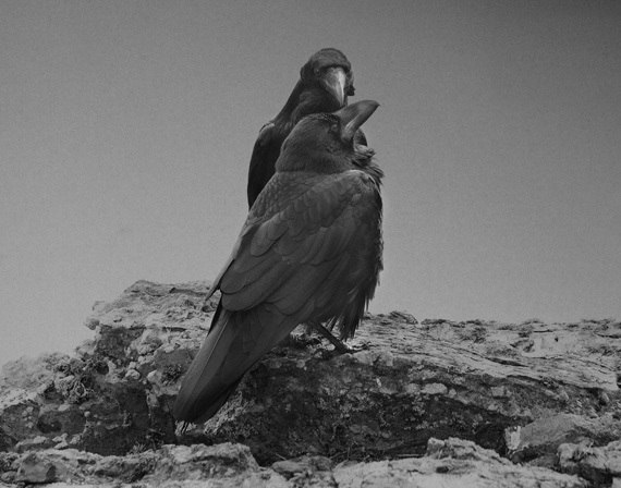 Odin's Cove...  Beth Moon - 2