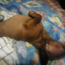 ���� ��������, �����-���������, 72 ���� - ��������� 4 ���� 2015 � ������ ���� ����������