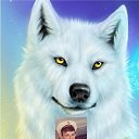 ���� ����, ������� - ��������� 2 ��� 2015 � ������ ������ ��������