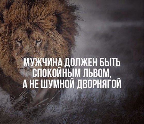    - 24  2015  11:29