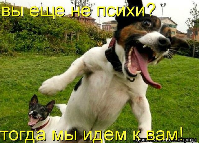 Wladimir Martinow - 4  2015  22:26