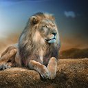 ���� ��������, ������, 62 ���� - ��������� 16 �������� 2015 � ������ ���� ����������