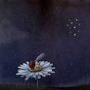 ���� ����, ���� - ��������� 21 ���� 2015 � ������ ������ ��������