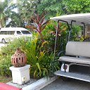    -  ,  -  24  2015    2014.   .  10-.