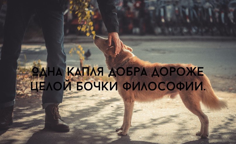  - 23  2015  15:04