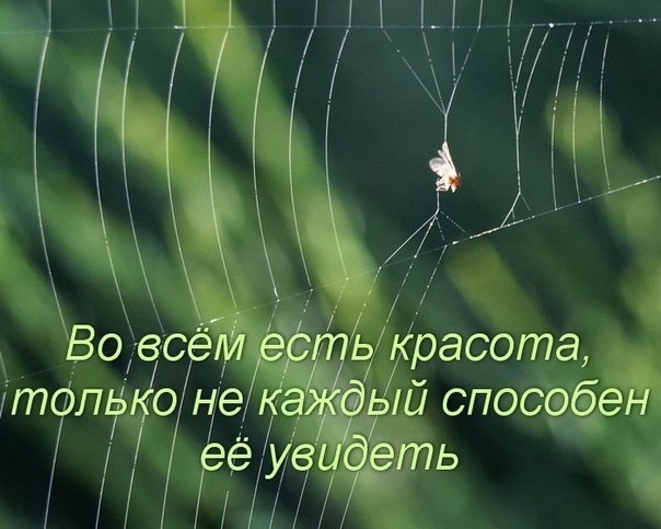 ����� - 9 ������� 2015 � 19:52