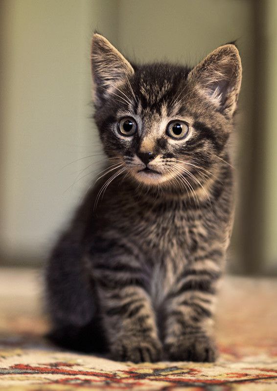   - 17  2015  17:45 - 2