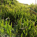 ���� �������, ������, 40 ��� - ��������� 31 ������� 2015 � ������ ���� ����