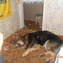 � ������� ������... �� ������� ����� 2015�