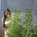 ���� ������, ������, 32 ���� - ��������� 1 ������� 2015 � ������ ���� ����������
