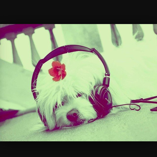 ���� ���������� � ���� ����� ���� ,��� �������� ������ ���� ��� ���� ,��� �� ��� ��� �������� ����� ...