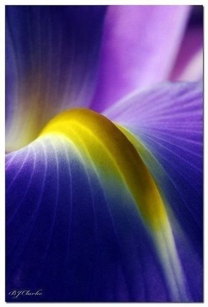 ||  ... || - 11  2015  23:20 - 5