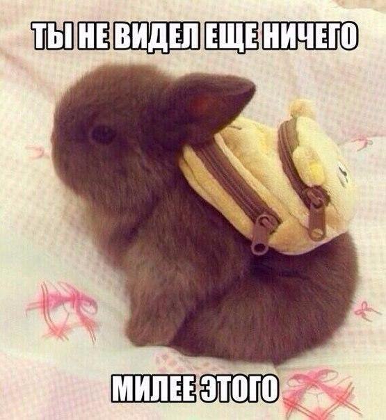    :D - 4  2015  09:43