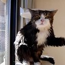 ���� Radik, ���, 44 ���� - ��������� 3 �������� 2015 � ������ ���� ����������