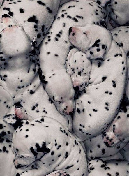   - 9  2015  18:05 - 6