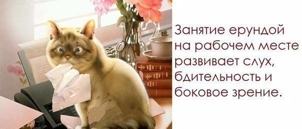    |   - 9  2015  16:09