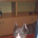 ���� ������, ���������, 53 ���� - ��������� 18 ��� 2015 � ������ ���� ����������