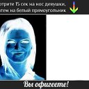  , , 52  -  24  2015    - )