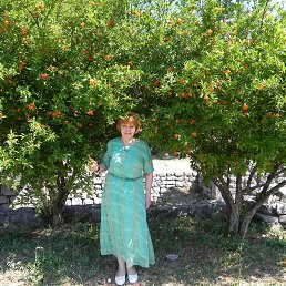 �����, ������, 65 ���