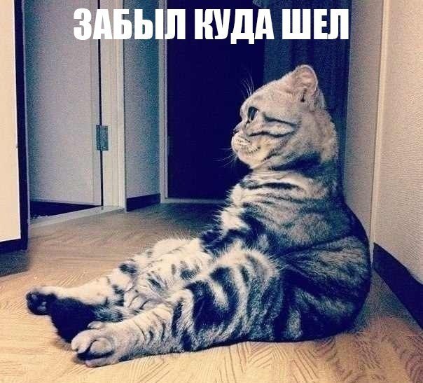      - 22  2015  10:31