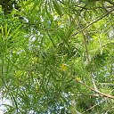    -  ,  -  23  2015    2014.  Peace.  11-.